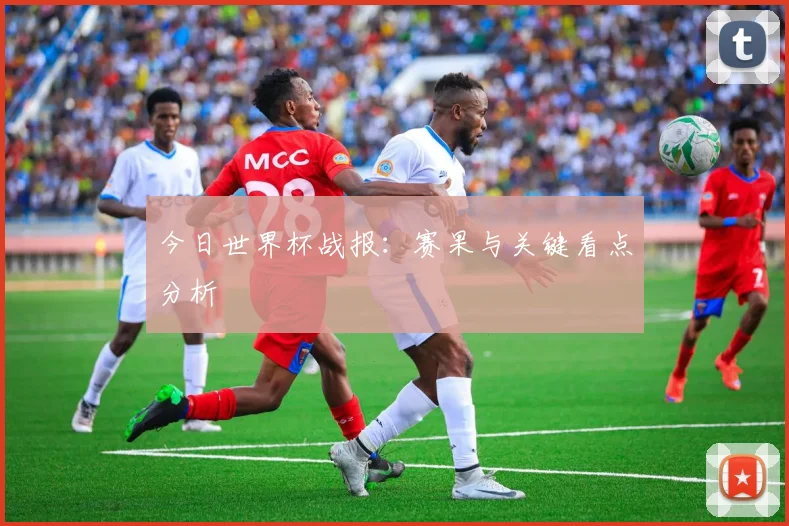 今日世界杯战报:赛果与关键看点分析