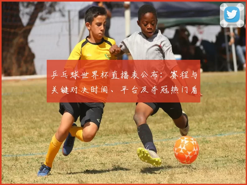 乒乓球世界杯直播表公布：赛程与关键对决时间、平台及夺冠热门看点
