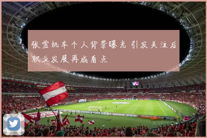 张雪机车个人背景曝光 引发关注后职业发展再成看点