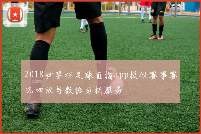 2018世界杯足球直播app提供赛事赛况回放与数据分析服务