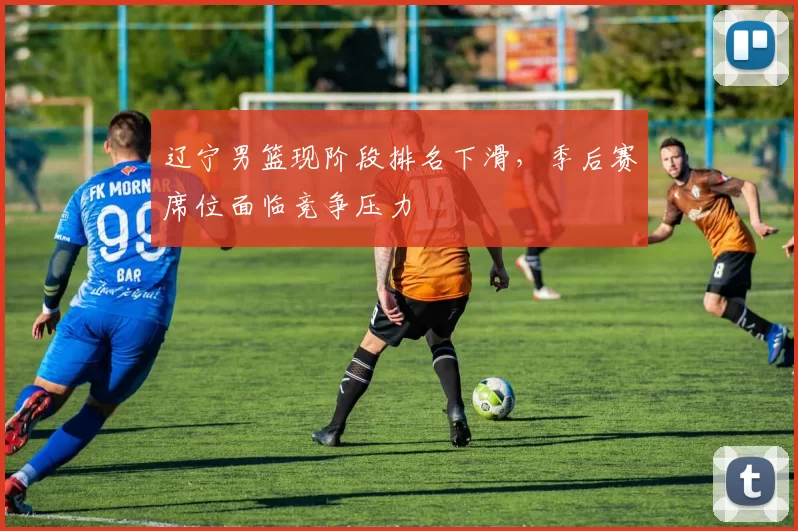 辽宁男篮现阶段排名下滑，季后赛席位面临竞争压力