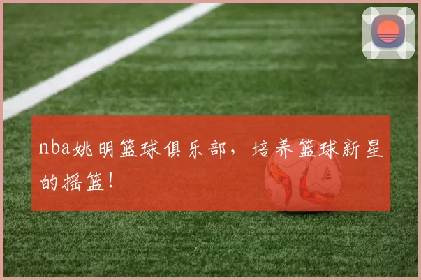 nba姚明篮球俱乐部，培养篮球新星的摇篮！